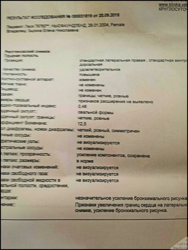 Фотография № 191589