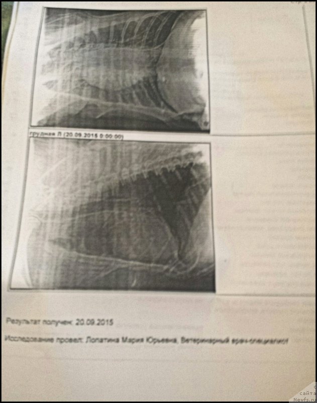 Фотография № 191591