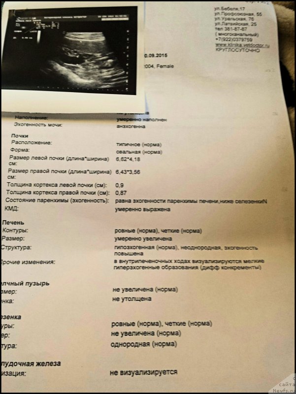 Фотография № 191592