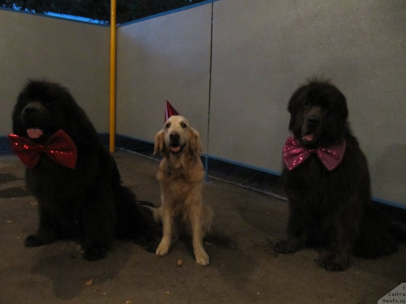 Фотография № 191603