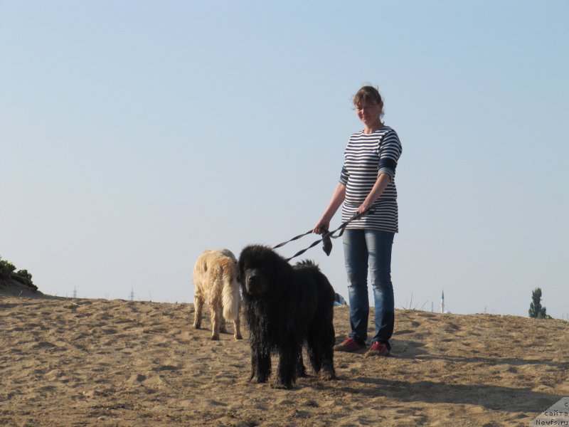 Фотография № 191607