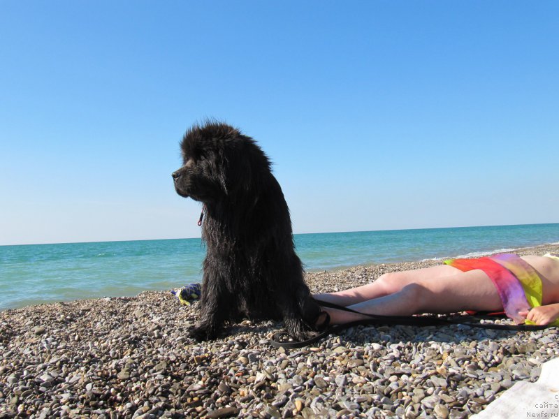 Фотография № 191609