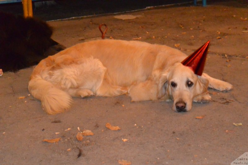 Фотография № 191614