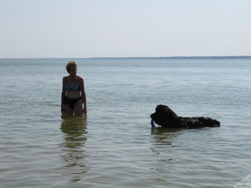 Фотография № 191619