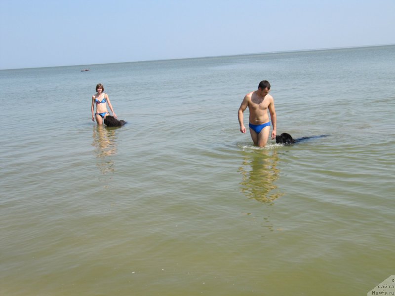 Фотография № 191626