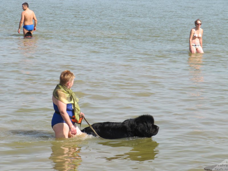 Фотография № 191630