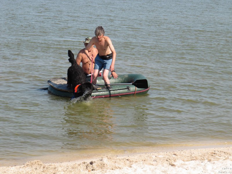 Фотография № 191647