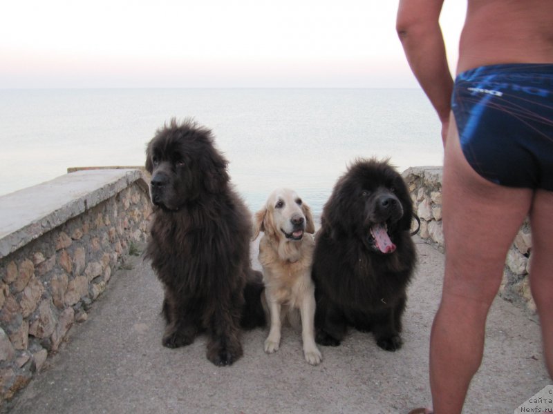 Фотография № 191652