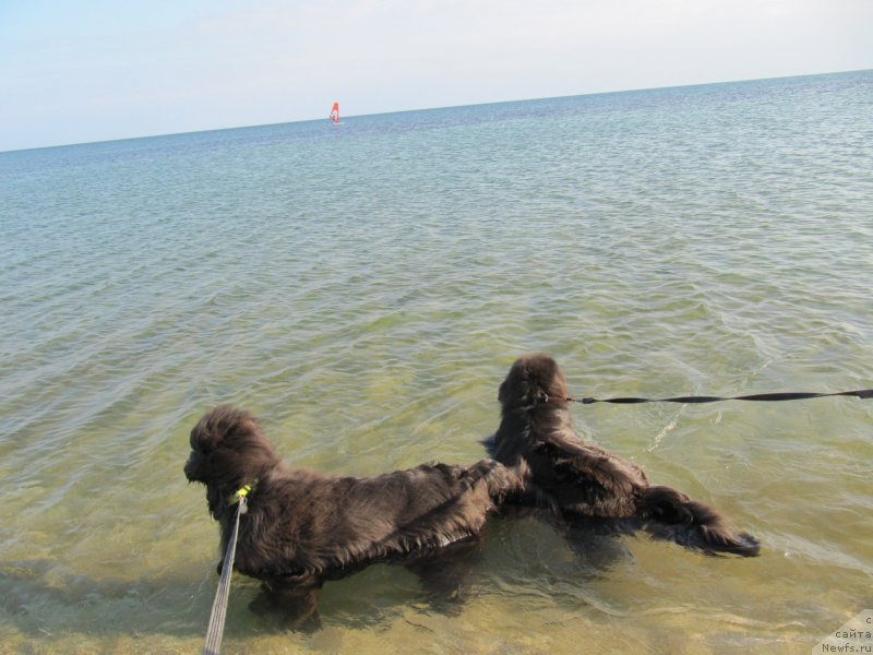 Фотография № 191658