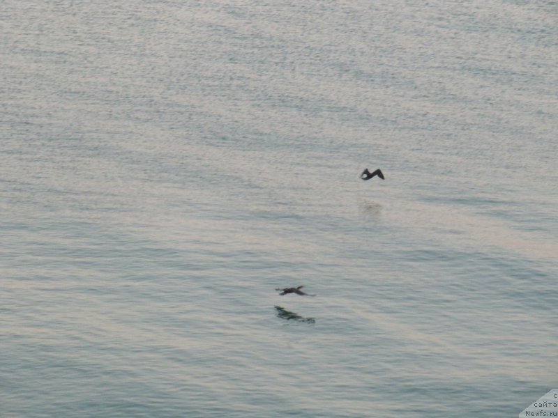 Фотография № 191660