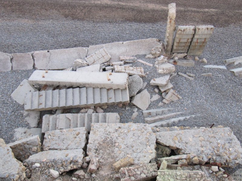 Фотография № 191663