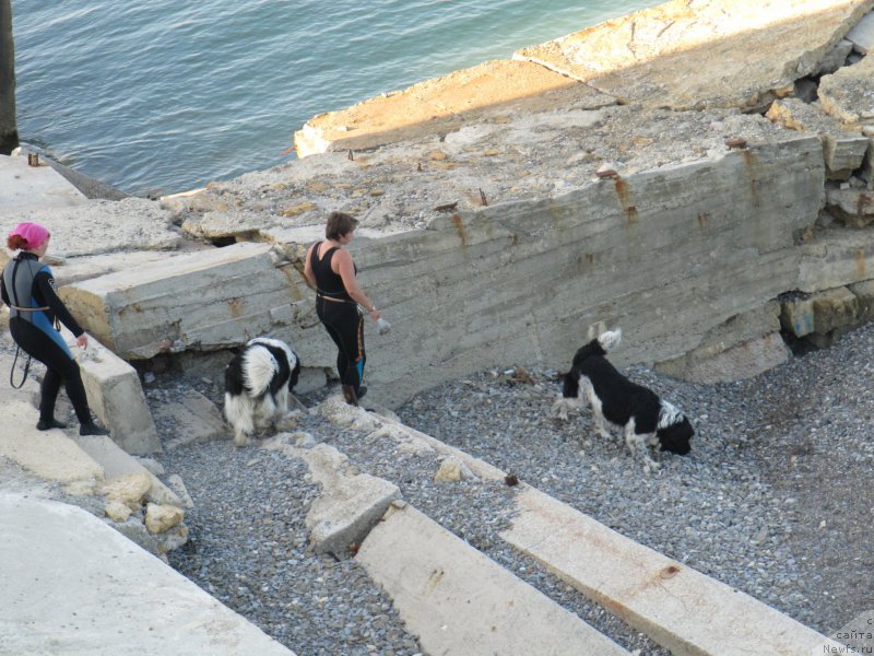 Фотография № 191671