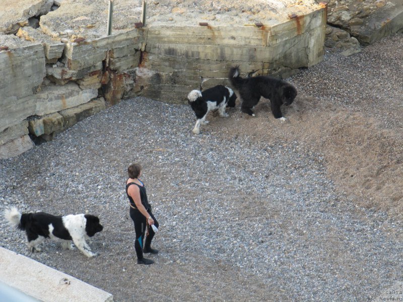 Фотография № 191672