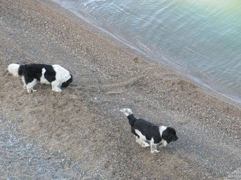 Фотография № 191673