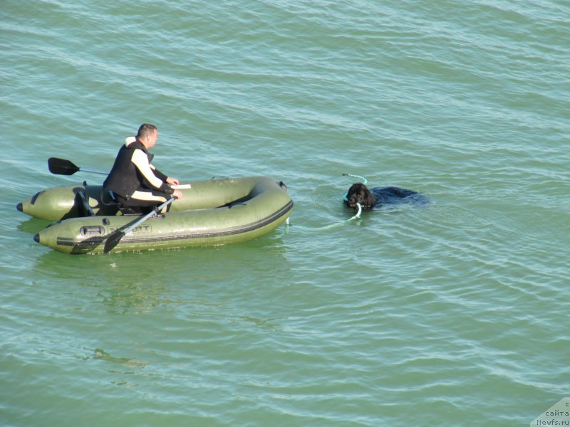 Фотография № 191675