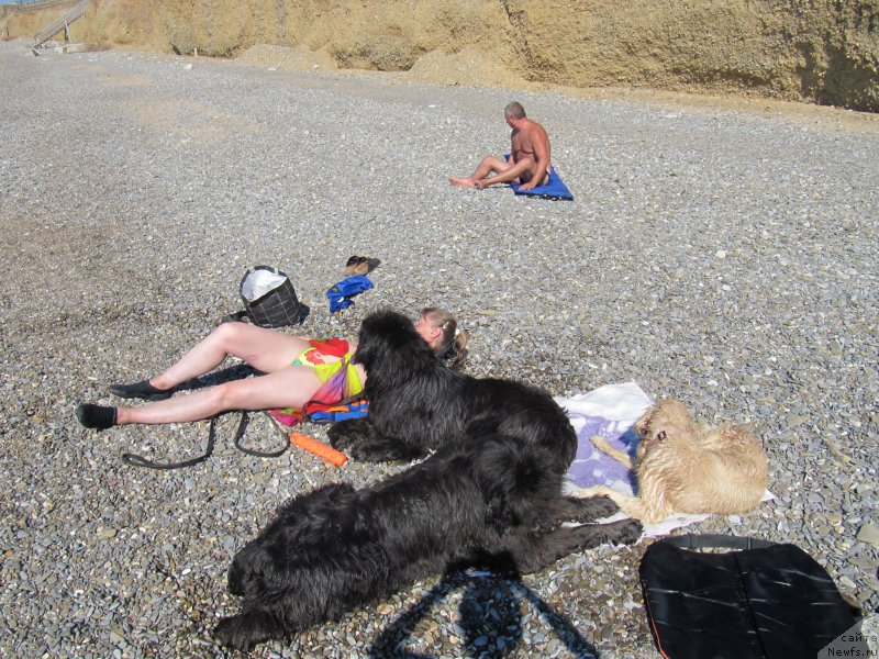 Фотография № 191679