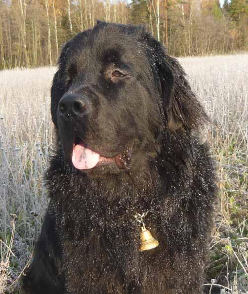 Фотография № 19168