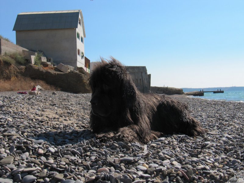 Фотография № 191680