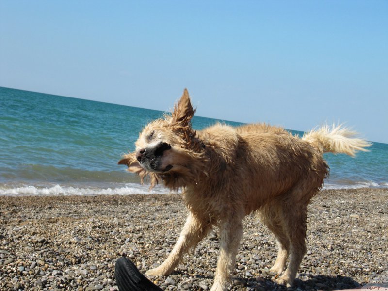 Фотография № 191681