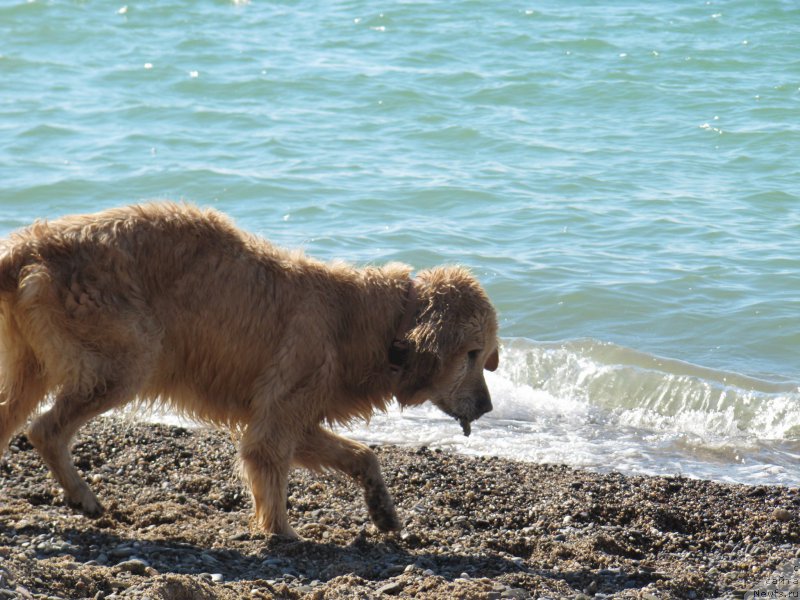 Фотография № 191684