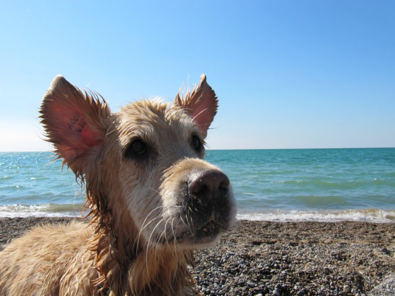 Фотография № 191685