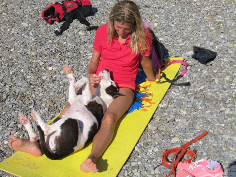 Фотография № 191690