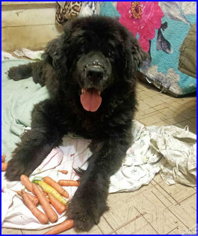 Фотография № 191703