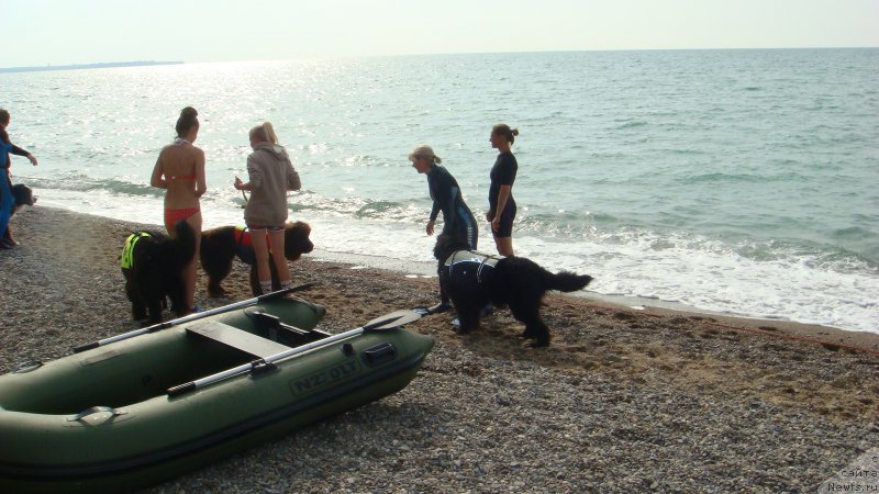 Фотография № 191705