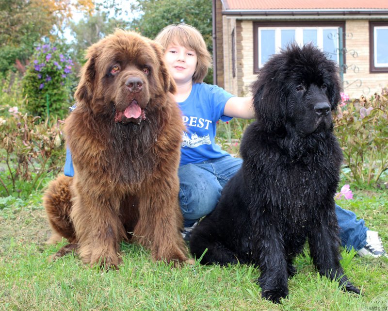 Фотография № 191712