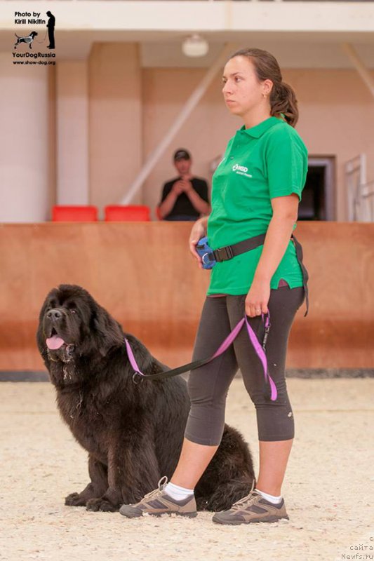 Фотография № 191715