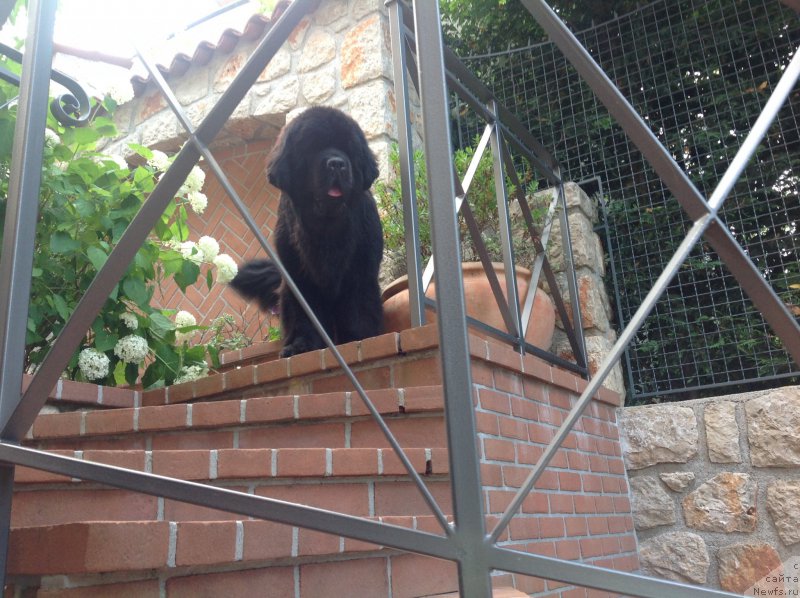 Фотография № 191717