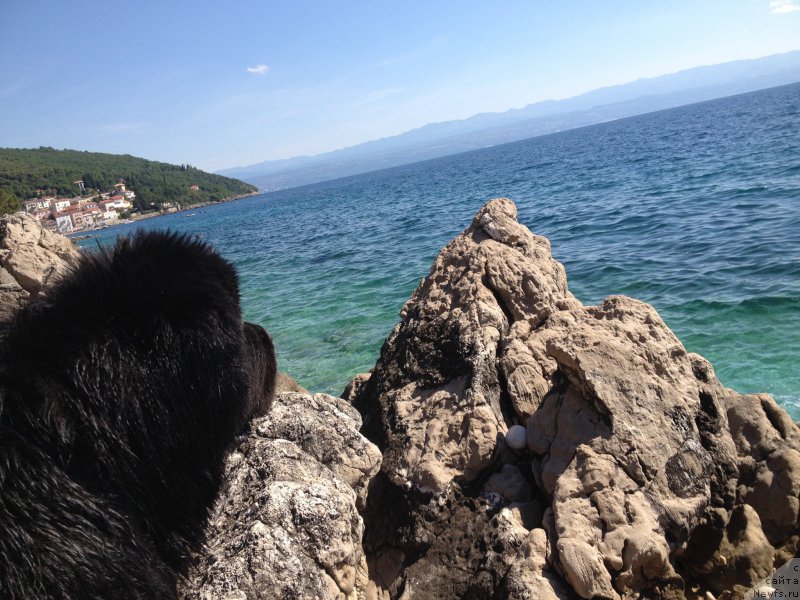 Фотография № 191718