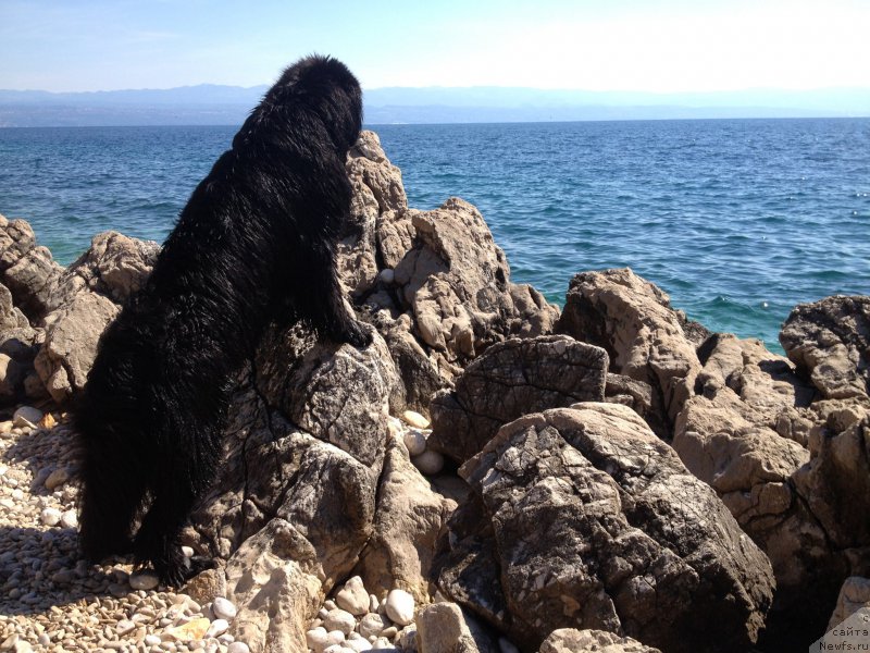 Фотография № 191719