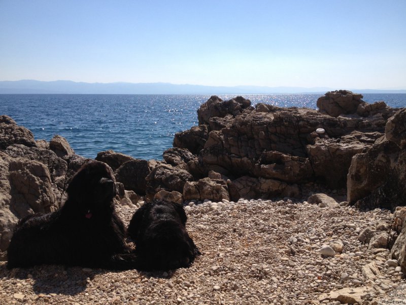 Фотография № 191720