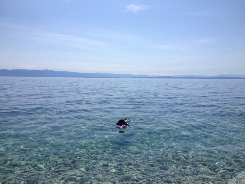 Фотография № 191722