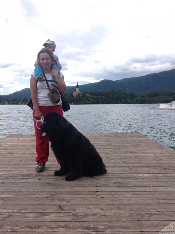 Фотография № 191725