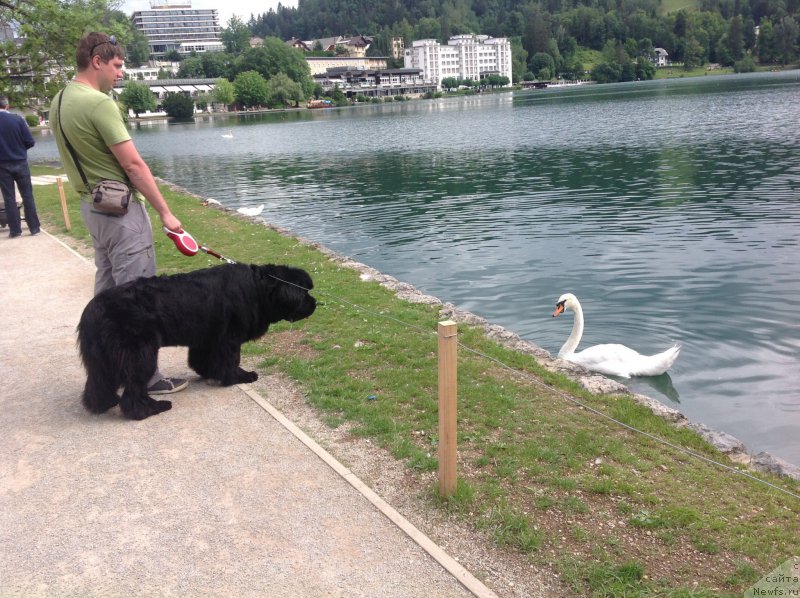 Фотография № 191726