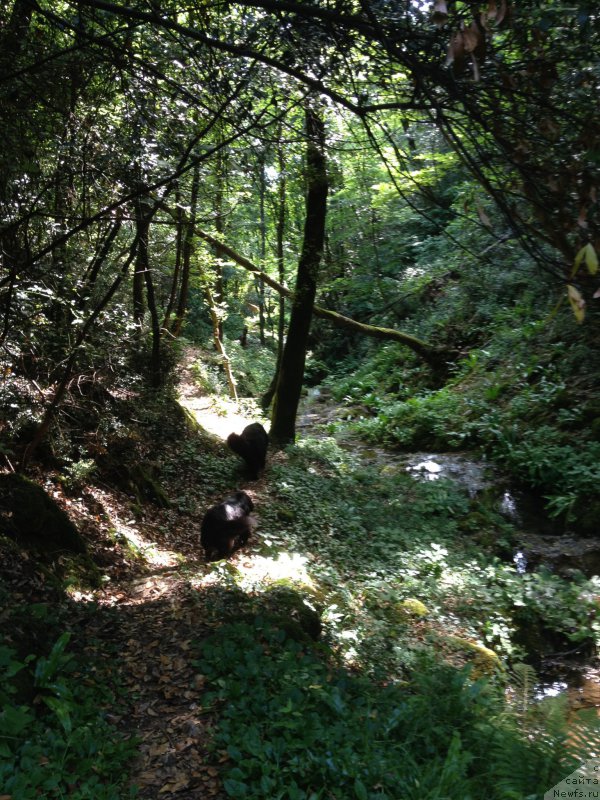 Фотография № 191728