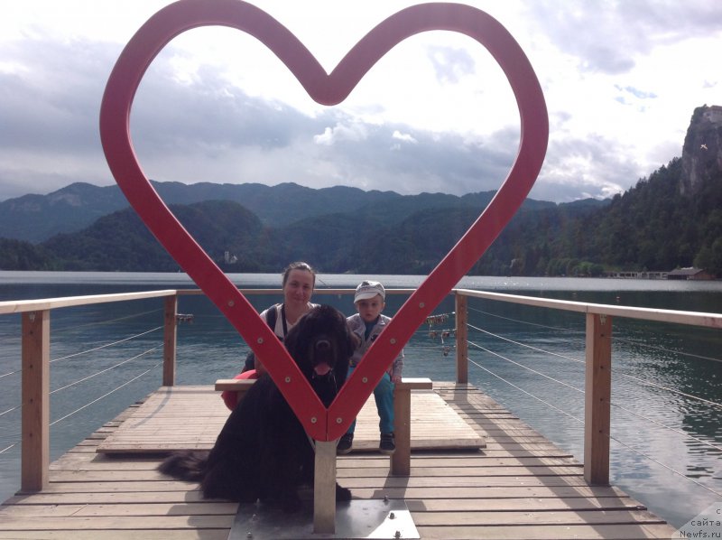 Фотография № 191729