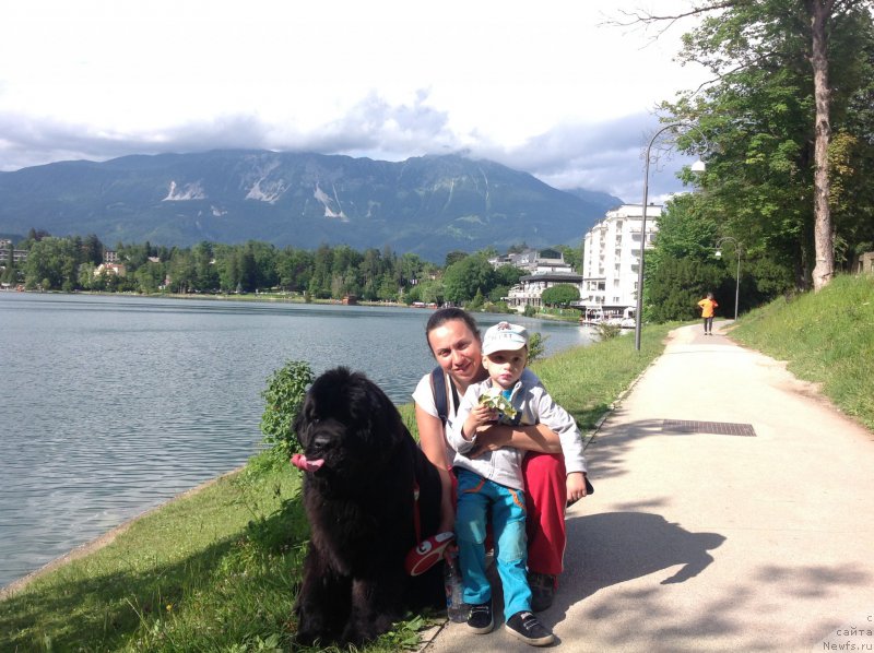 Фотография № 191730