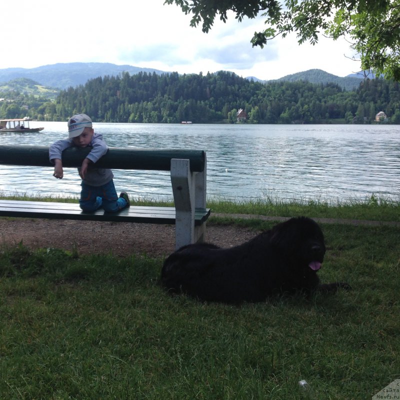 Фотография № 191731