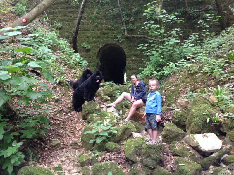 Фотография № 191733