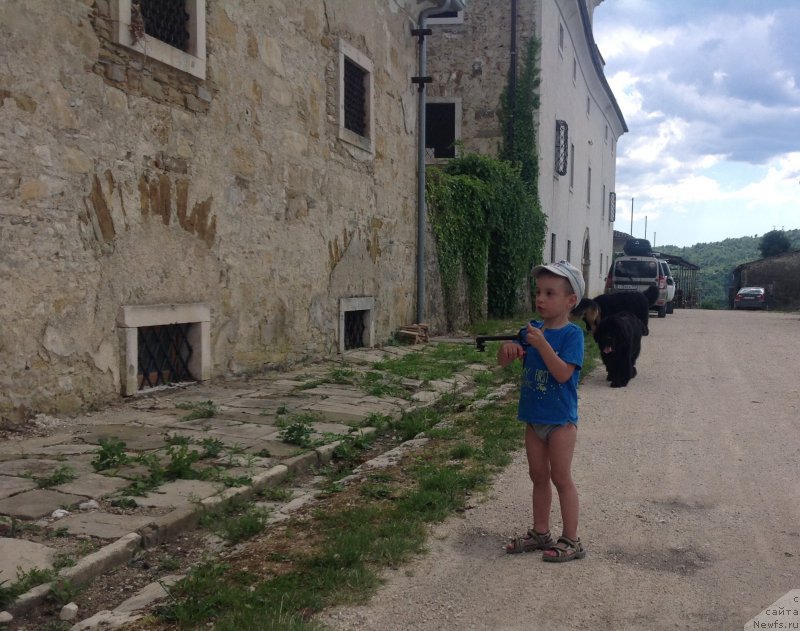 Фотография № 191737