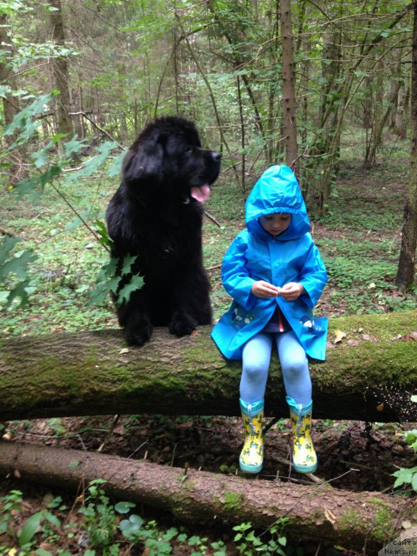 Фотография № 191741