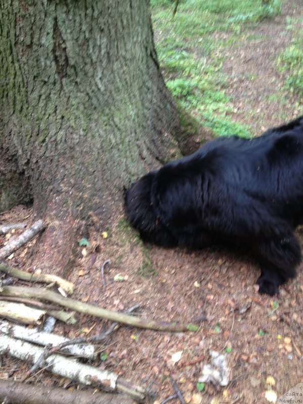 Фотография № 191742