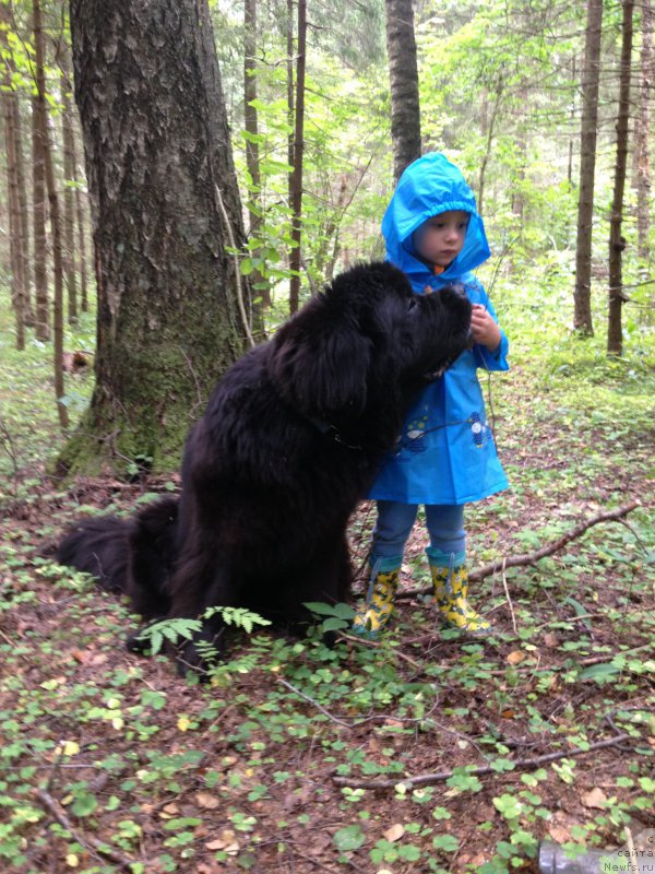 Фотография № 191743