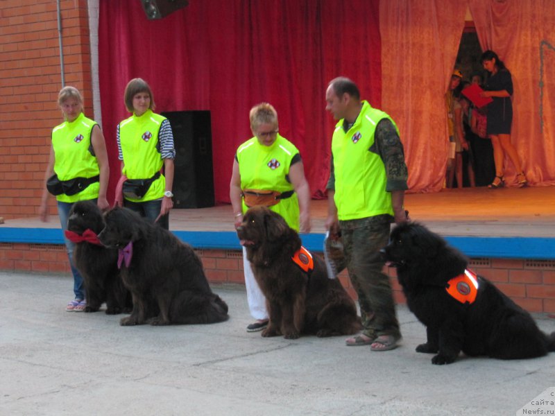 Фотография № 191744