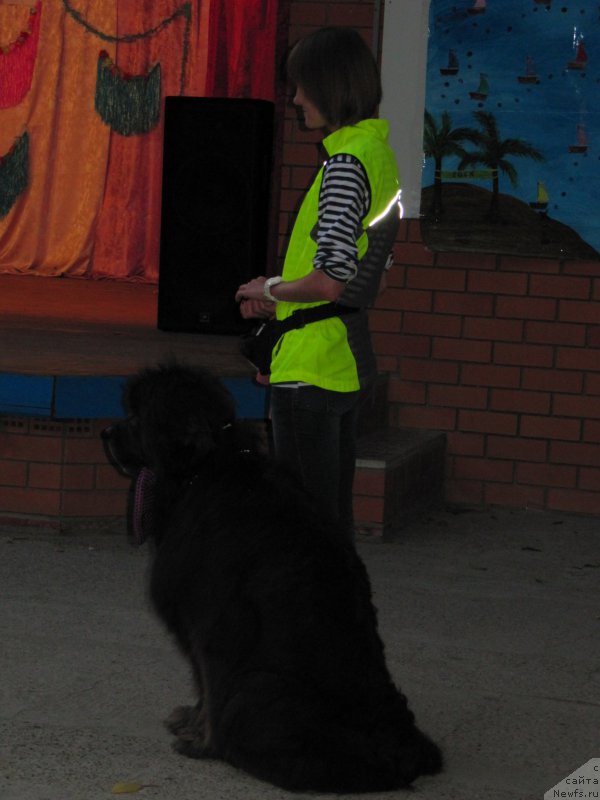 Фото: Анастасия Киреева