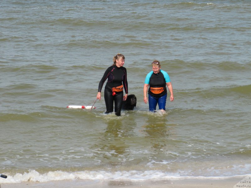 Фото: Анна Петрушкина, Галина Артюшина, Тэфи