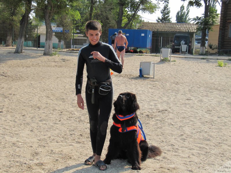 Фотография № 191774